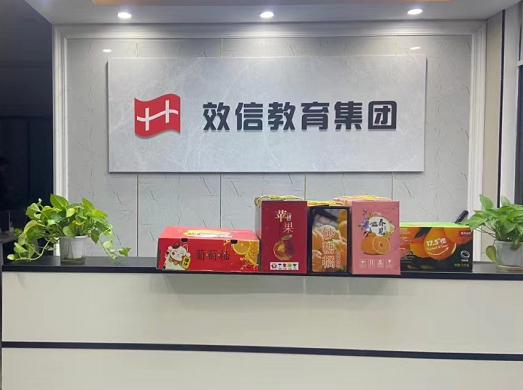武漢效信教育咨詢 為您的夢想保駕護航